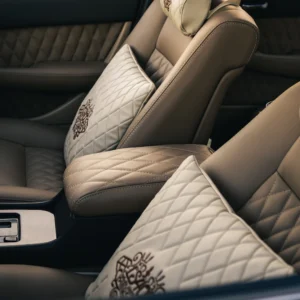 Luxury car seats with neck pillows and cushions